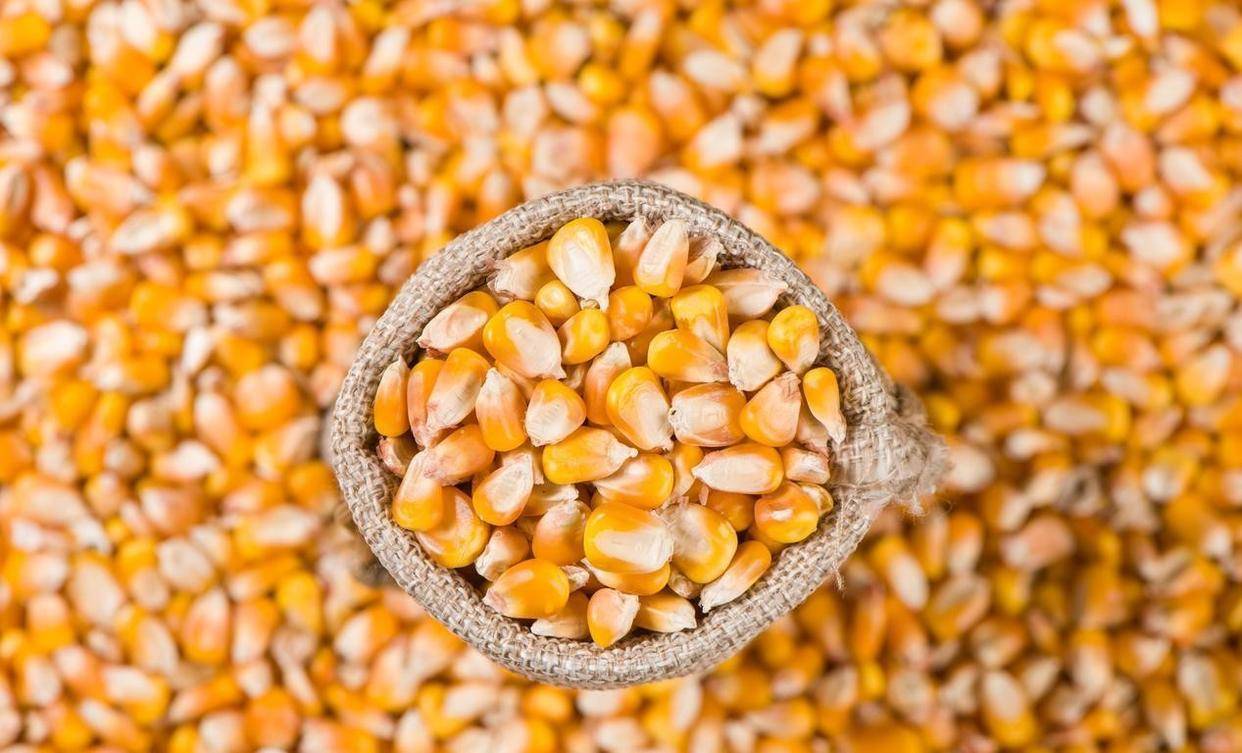 安阳几千块的原材料被做成白菜价?垄断全球命脉日本和芬兰对阵河南(图2) 安阳几千块的原材料被做成白菜价?垄断全球命脉日本和芬兰对阵河南(图2)